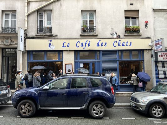 Le Café des Chats by null
