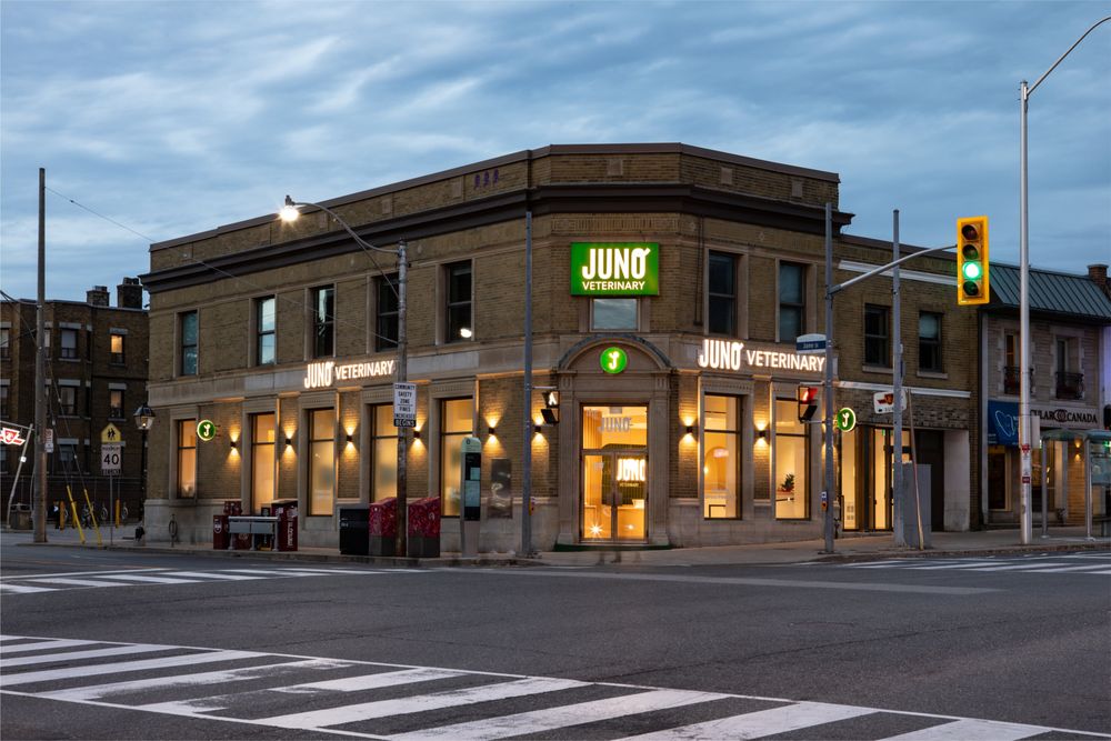 Juno Veterinary- Bloor Street Image