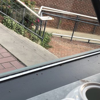 Blackwall Hitch - The window sill covered in dead bugs with bug splatters on the window - Seafood Near Me - Alexandria, Virginia Blackwall Hitch - The window sill covered in dead bugs with bug splatters on the window - Seafood Near Me - Alexandria, Virginia