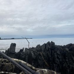 Serenity Adventure Charters
