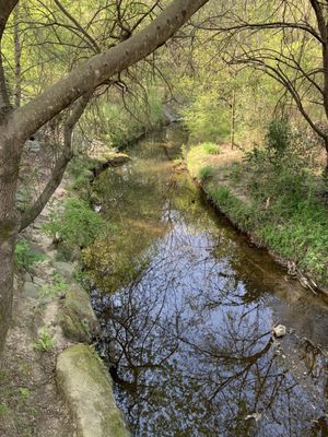 Peachtree Hills Park by null