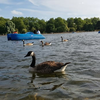Hyde Park - With the flow - Parks Near Me Hyde Park - With the flow - Parks Near Me