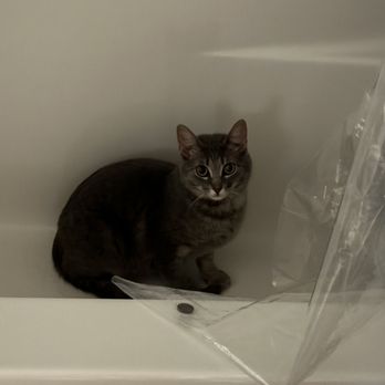 SIOUX FALLS AREA HUMANE SOCIETY - Updated January 2026 - 3720 E Benson