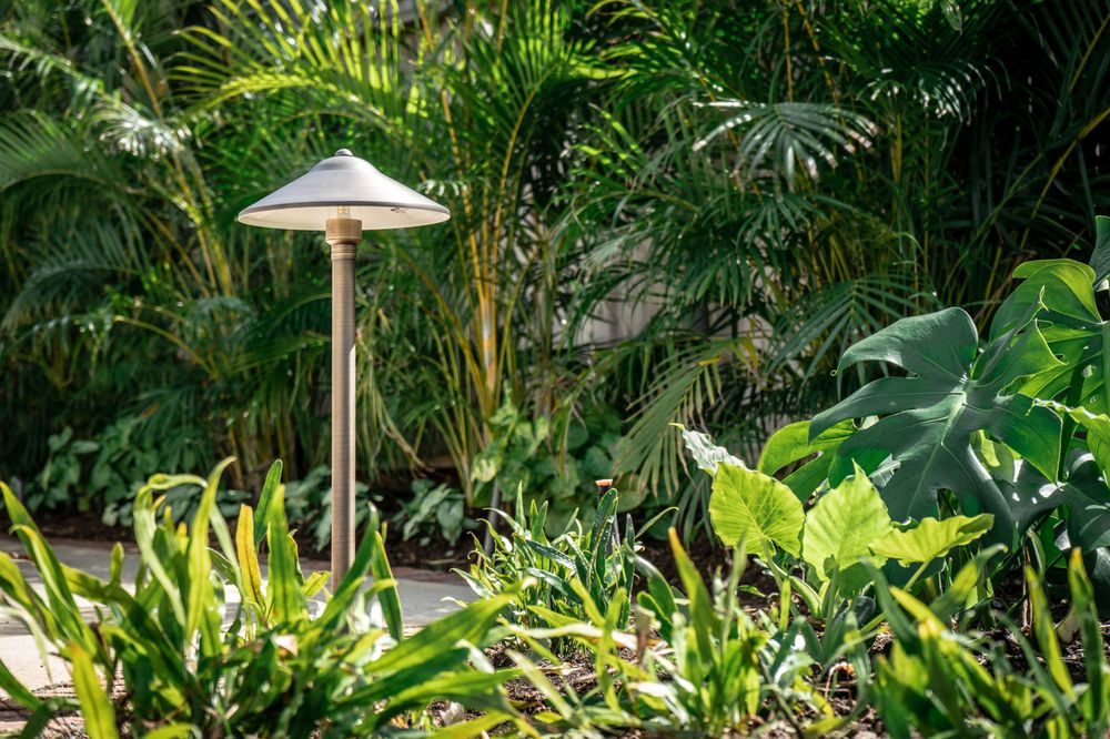 Hapa Landscaping - tree service in Honolulu, HI