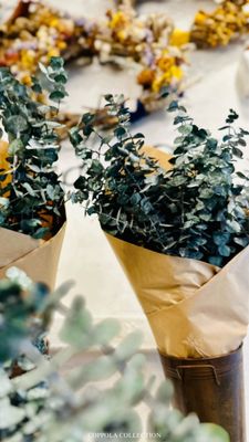 Creations by Coppola by null