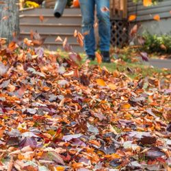 Lawn Expressions - Fall leaf cleanup.