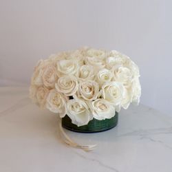 Stems