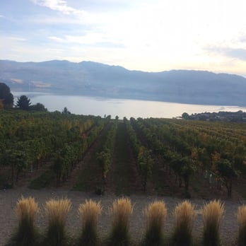 Old Vines Restaurant - View from the tasting room - Canadian (New) Near Me - Kelowna, British Columbia Old Vines Restaurant - View from the tasting room - Canadian (New) Near Me - Kelowna, British Columbia