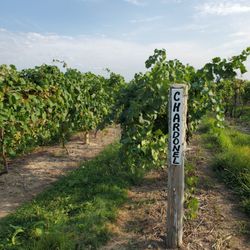 Forraht Fruit Farms