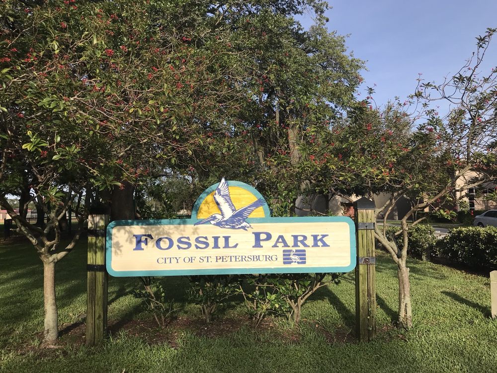 FOSSIL PARK Updated May 2024 11 Reviews 6635 Dr Martin Luther