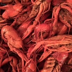 Crawfish Haven Seafood and Catering - Mid-South's Finest and Lowest priced authentic Cajun Boiled Crawfish an Cajun Cuisine!!! Absolute professional CATERING!! Well experienced!!