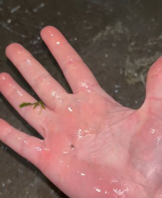 Tribeca Hotel FiDi by null