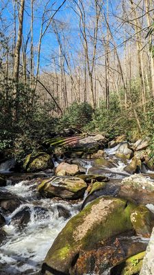 Caesars Head State Park by null