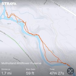 Mulholland Wildflower Preserve
