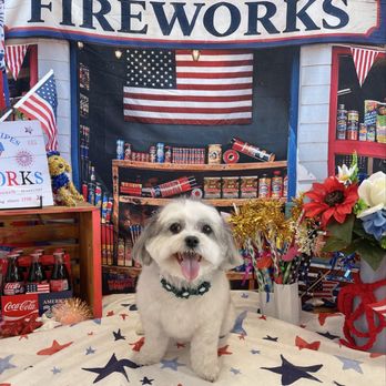 Grooming Zoomies  - What a wonderful idea to offer your clients.  Thanks again for the great experience.   We will be returning. - Pet Groomers Near Me - Glendale Heights, Illinois