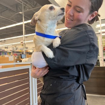 PetSmart - Luciano loves his groomer - Pet Training Near Me - EL PASO, Texas