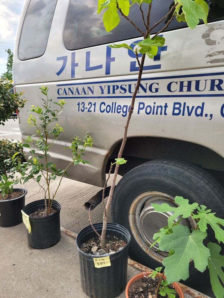 SELLING FLOWERS 4025 150th St, Flushing, New York Flowers & Gifts