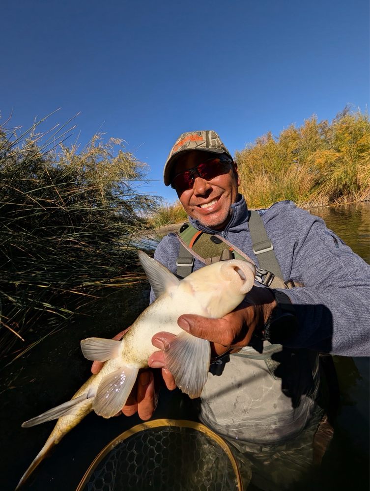 Sierra Trout Magnet Fly Shop Logo