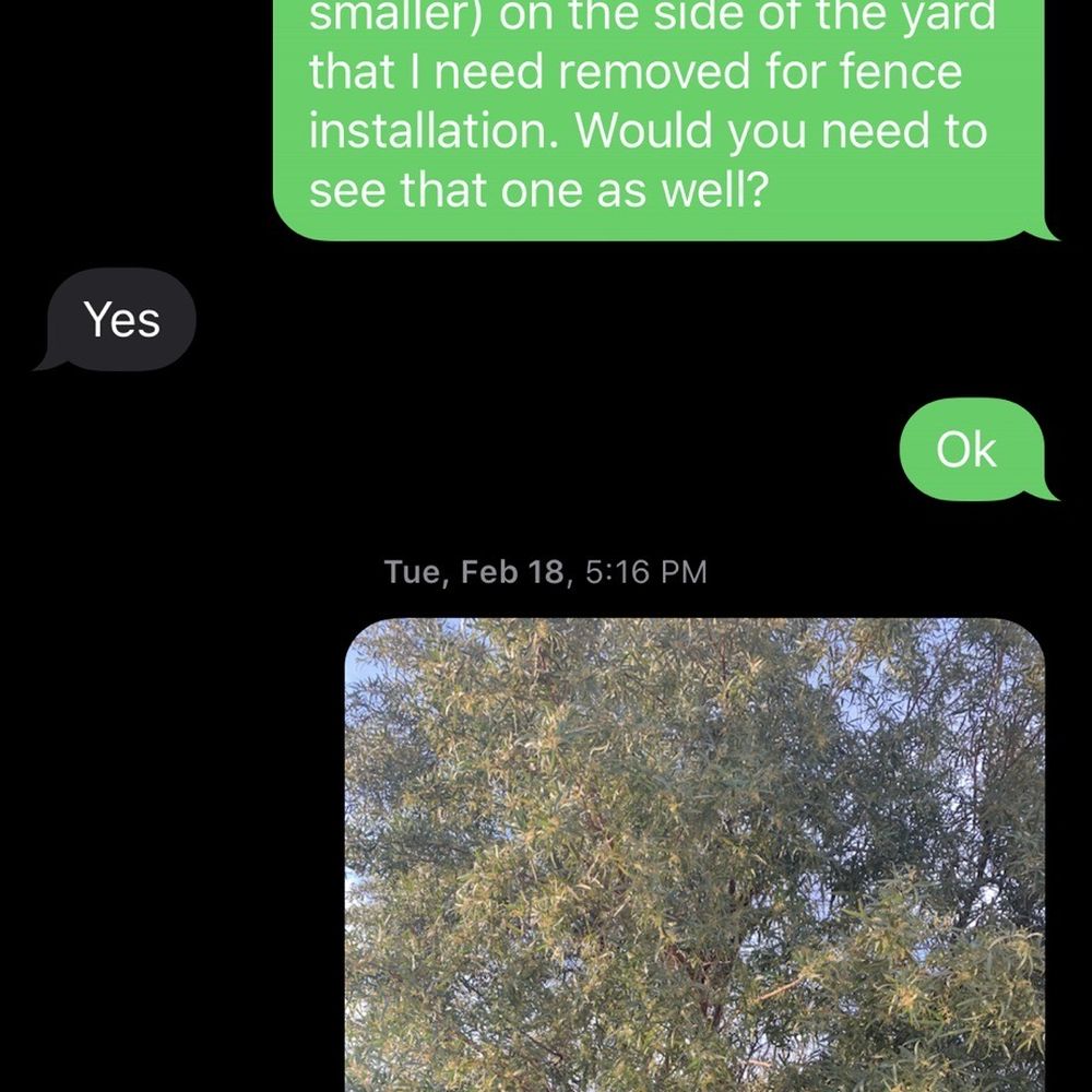 Bassett Tree Service - The text where I told them EXACTLY what I needed and why - Tree Services Near Me - Mesa, Arizona Bassett Tree Service - The text where I told them EXACTLY what I needed and why - Tree Services Near Me - Mesa, Arizona