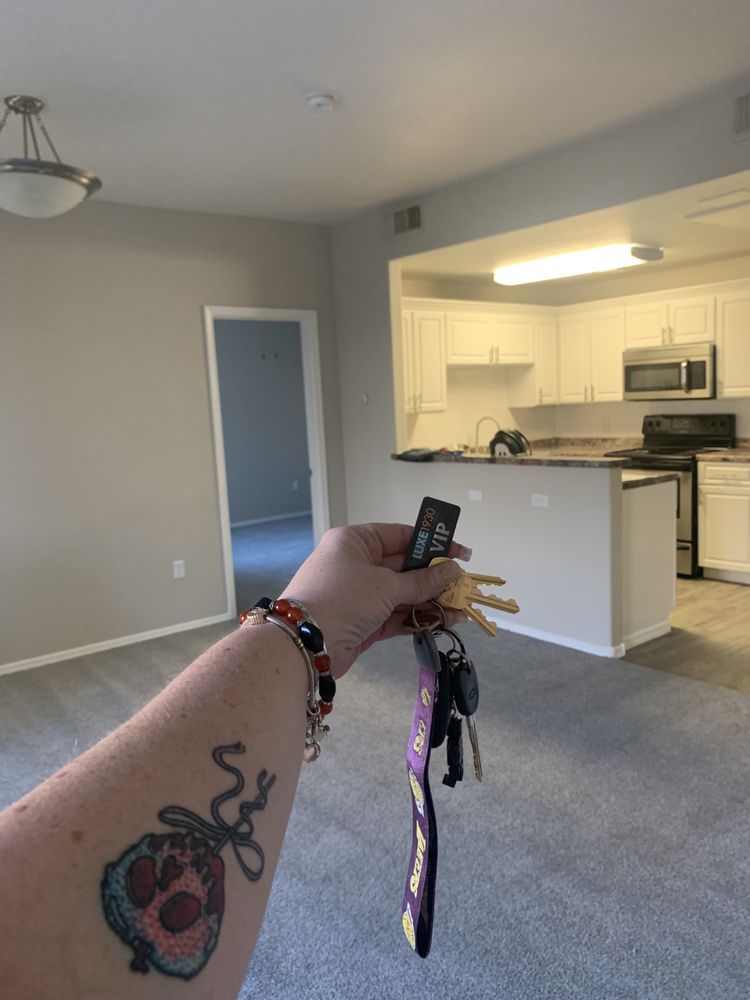 Luxe 1930 - property management company in Mesa, AZ