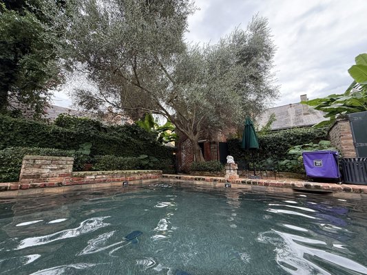 Audubon Cottages by null