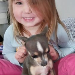 Shasta Rainbow Angels - Cheyenne and Lil Bitt. 6 and 5 yrs old