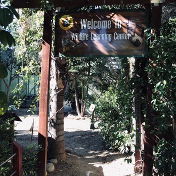 Wildlife Learning Center - Welcome to the Wildlife Learning Center - Zoos Near Me - Sylmar, California
