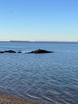 Lighthouse Point Park Carousel by null