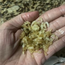 Bluebonnet Cooling & Heating - The brown piece in the photo, which is over half the rice in my dish, are all hard as rocks. The entire serving is inedible.