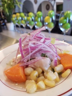 Mr Ceviche Biscayne Blvd by null