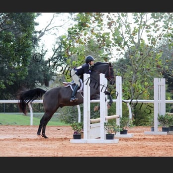 Clarcona Horse Park - Parks Near Me - Apopka, Florida Clarcona Horse Park - Parks Near Me - Apopka, Florida