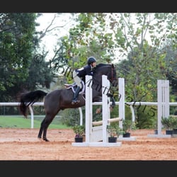 Clarcona Horse Park