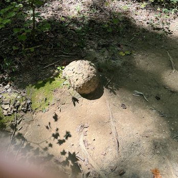 William B Umstead State Park - Hiking Near Me - Cary, North Carolina