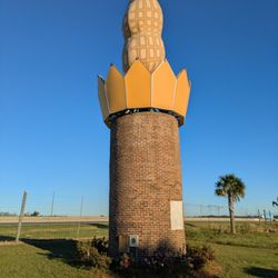 World's Largest Peanut - World's Largest Peanut, Ashburn
