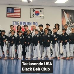 Taekwondo USA