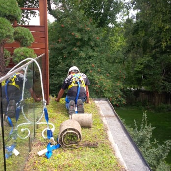 SKYSPACE Green Roofs - Roofing Near Me - Toronto, Ontario SKYSPACE Green Roofs - Roofing Near Me - Toronto, Ontario