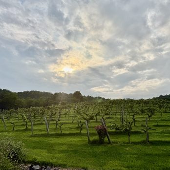 Pearmund Cellars - Wineries Near Me - Broad Run, Virginia Pearmund Cellars - Wineries Near Me - Broad Run, Virginia
