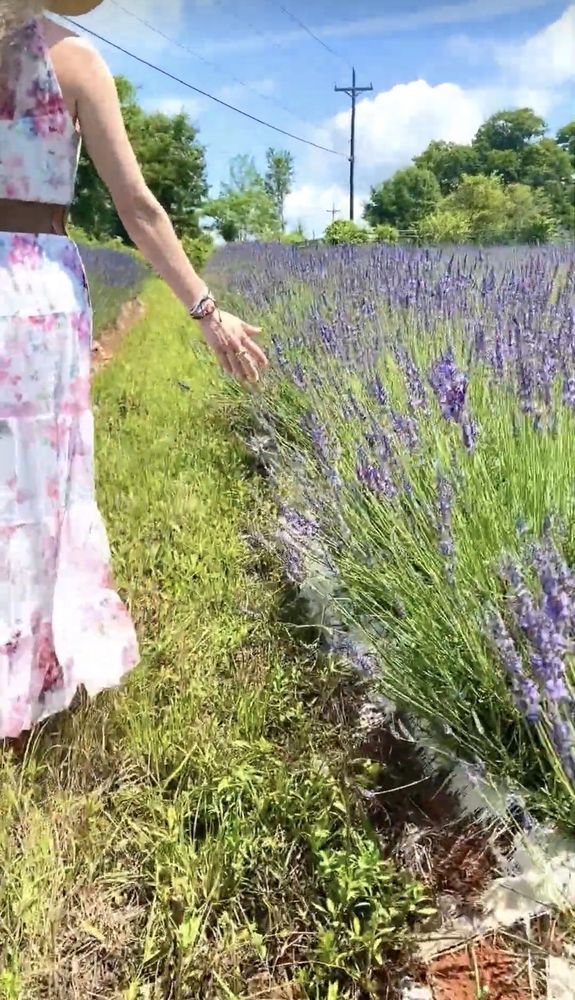 TWIN CREEKS LAVENDER 16 Photos 4638 Midway Rd, Williamston, South