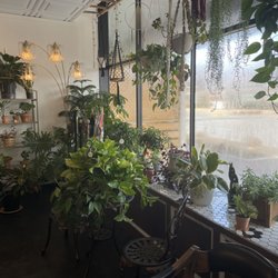 VineHouse Lounge - Plant babies