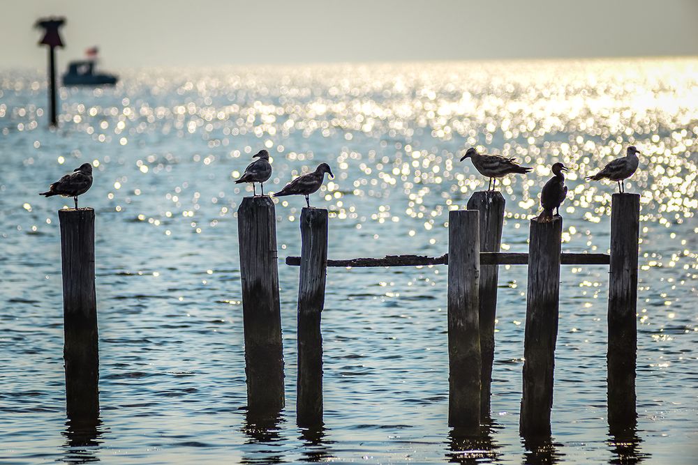 DAVE WHITTINGTON COASTAL LIFE REALTY GROUP Updated June 2024 21