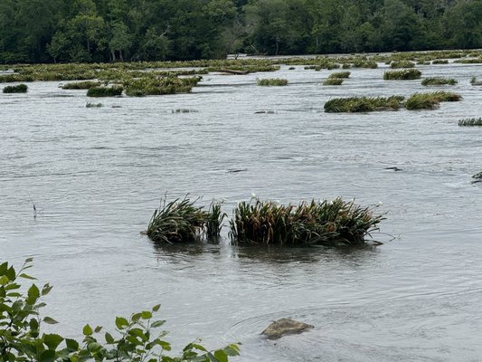 Landsford Canal State Park by null