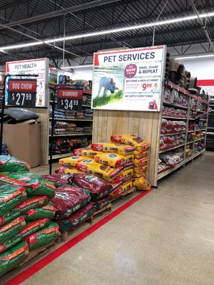 mardi gras cake supply north olmsted