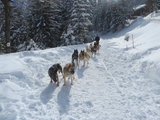 Courchevel by null