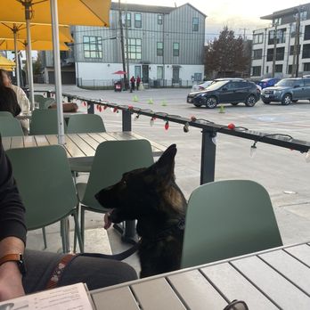 LOCAL Public Eatery Henderson - patio - Pubs Near Me - Dallas, Texas