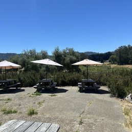 Lots of places to drink in the sun and shade Lots of places to drink in the sun and shade
