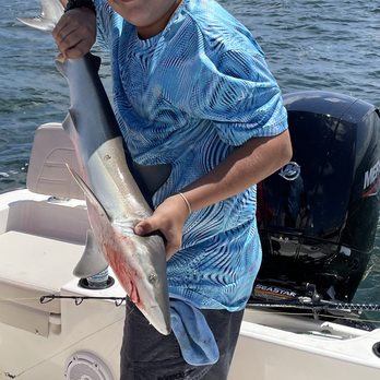 Anchoredheartcharters - His first shark! - Snorkeling Near Me Anchoredheartcharters - His first shark! - Snorkeling Near Me