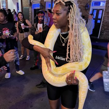 Bourbon Street - Pet the snake?? - Local Flavor Near Me - New Orleans, Louisiana Bourbon Street - Pet the snake?? - Local Flavor Near Me - New Orleans, Louisiana