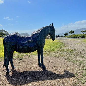 Blackies Pasture - Statue of Blackie - Parks Near Me - Tiburon, California