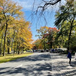 Pascack Brook County Park - Some fall color