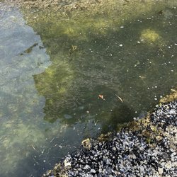 Salt Creek Recreation Area - Fish